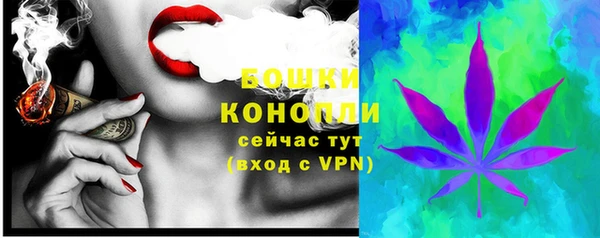 PSILOCYBIN Абаза