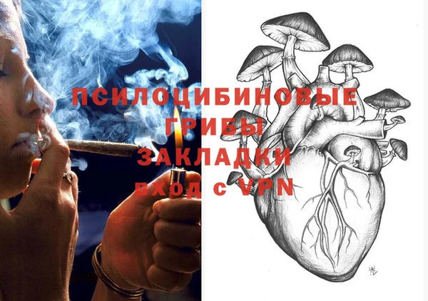 PSILOCYBIN Абаза