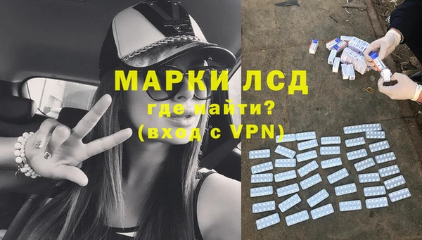 PSILOCYBIN Абаза